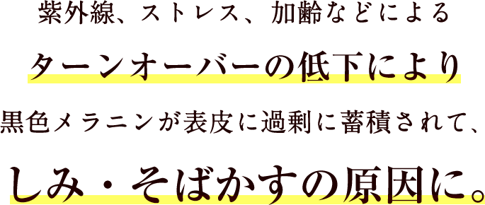 紫外線、ストレス、加齢などによるターンオーバーの低下により 黒色メラニンが表皮に過剰に蓄積されて、しみ・そばかすの原因に。