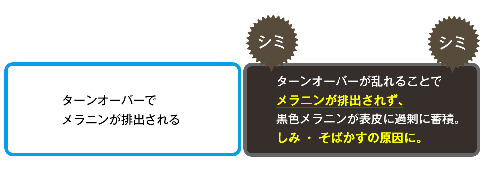 ターンオーバーが乱れていると メラニンが排出されず、 黒色メラニンが表皮に過剰に蓄積。 しみ・そばかすの原因に。